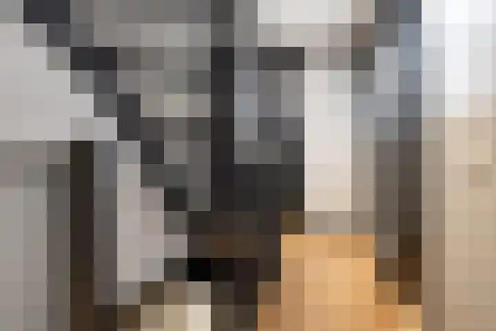 Mattenbies 8 Amersfoort thumbnail 19