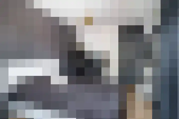 Mattenbies 8 Amersfoort thumbnail 24