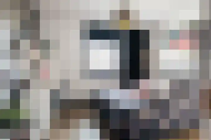 Mattenbies 8 Amersfoort thumbnail 27
