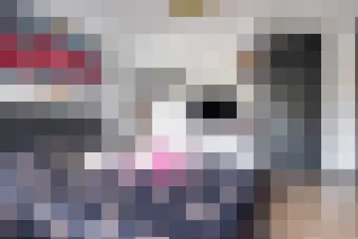 Mattenbies 8 Amersfoort thumbnail 28