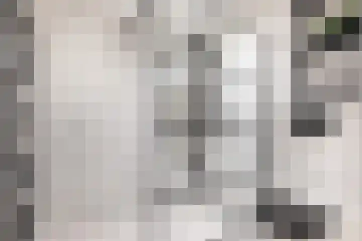 Mattenbies 8 Amersfoort thumbnail 30