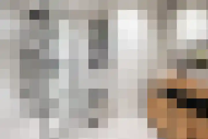 Mattenbies 8 Amersfoort thumbnail 31
