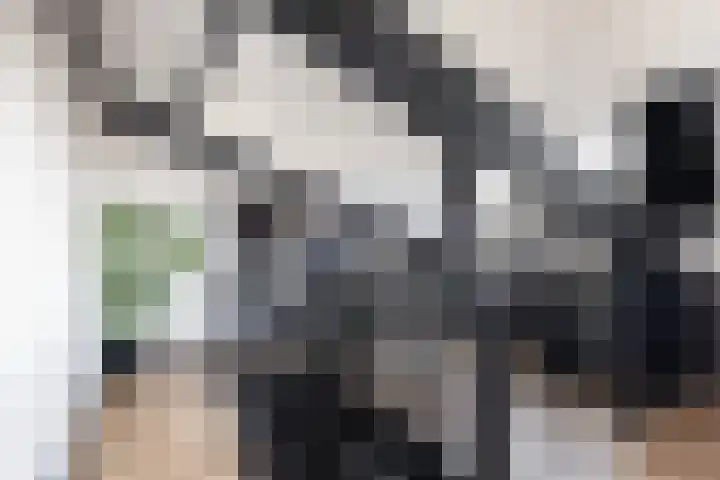 Mattenbies 8 Amersfoort thumbnail 32