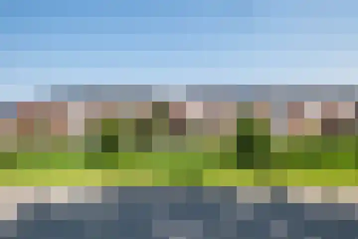 Mattenbies 8 Amersfoort thumbnail 37
