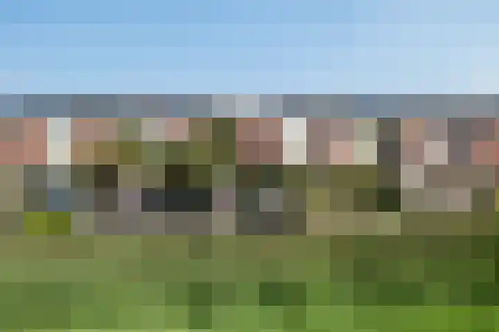 Mattenbies 8 Amersfoort thumbnail 38