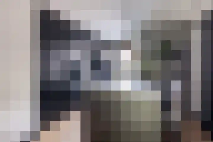 Mattenbies 8 Amersfoort thumbnail 7