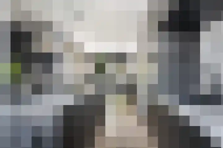Mattenbies 8 Amersfoort thumbnail 8