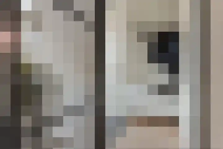 Mattenbieslaan 11 Vleuten thumbnail 12