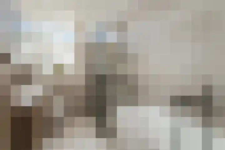 Mattenbieslaan 11 Vleuten thumbnail 17