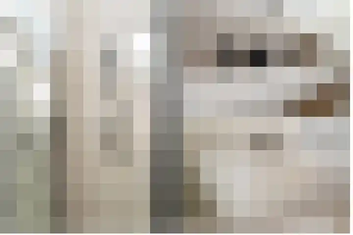 Mattenbieslaan 11 Vleuten thumbnail 18