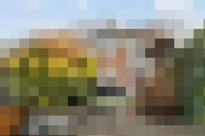 Mattenbieslaan 11 Vleuten foto 2