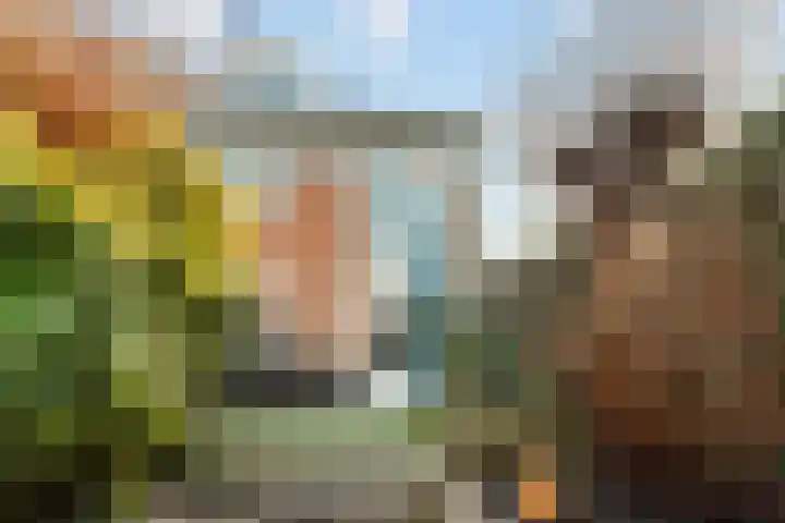 Mattenbieslaan 11 Vleuten thumbnail 25