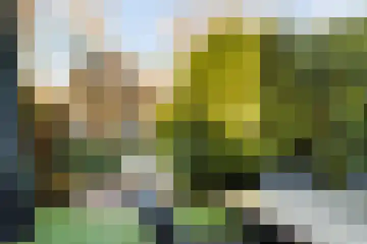 Mattenbieslaan 11 Vleuten thumbnail 26