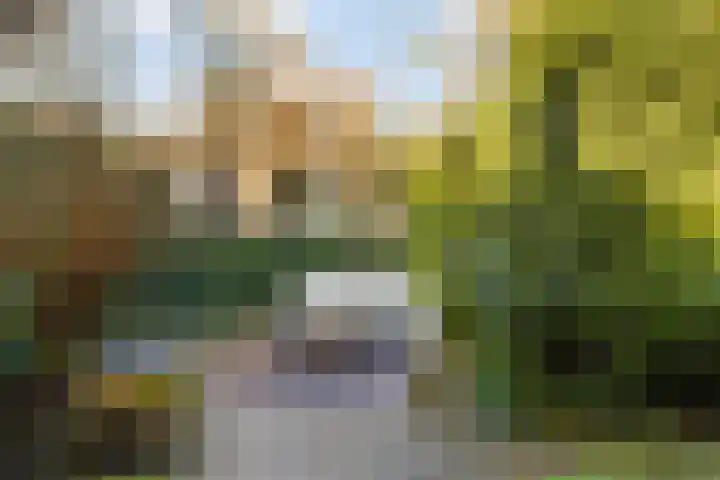 Mattenbieslaan 11 Vleuten thumbnail 27