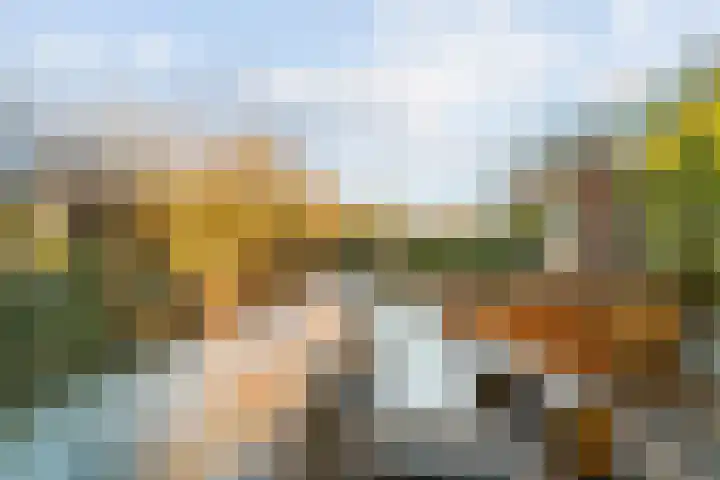 Mattenbieslaan 11 Vleuten thumbnail 29