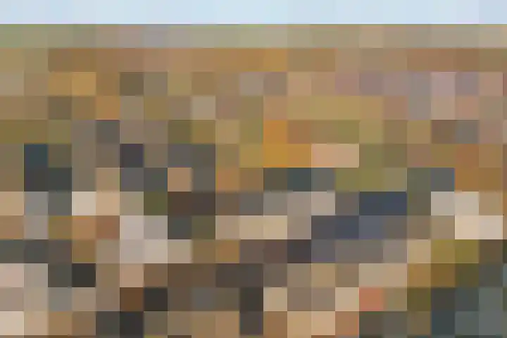 Mattenbieslaan 11 Vleuten thumbnail 32