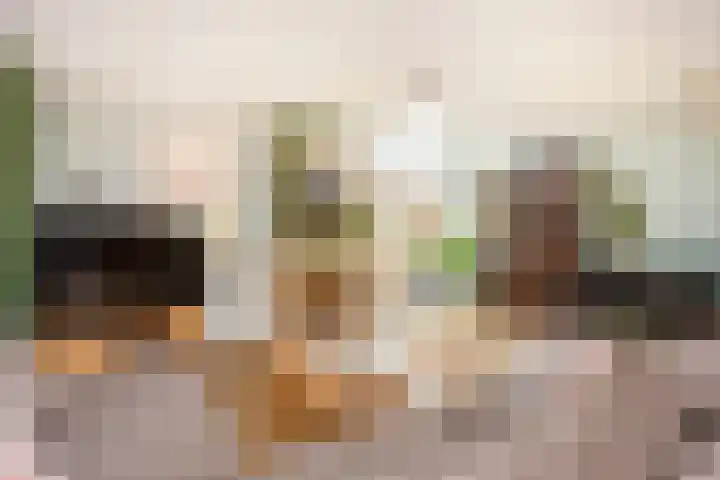 Mattenbieslaan 14 Vleuten thumbnail 10