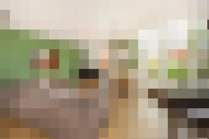 Mattenbieslaan 14 Vleuten thumbnail 11