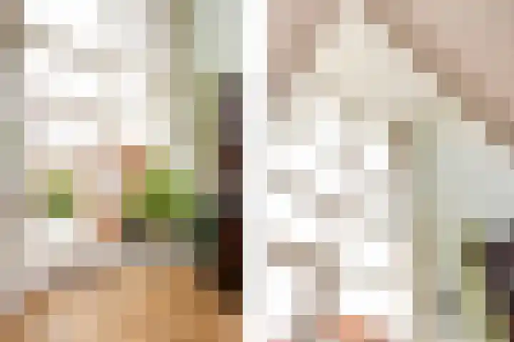 Mattenbieslaan 14 Vleuten thumbnail 15