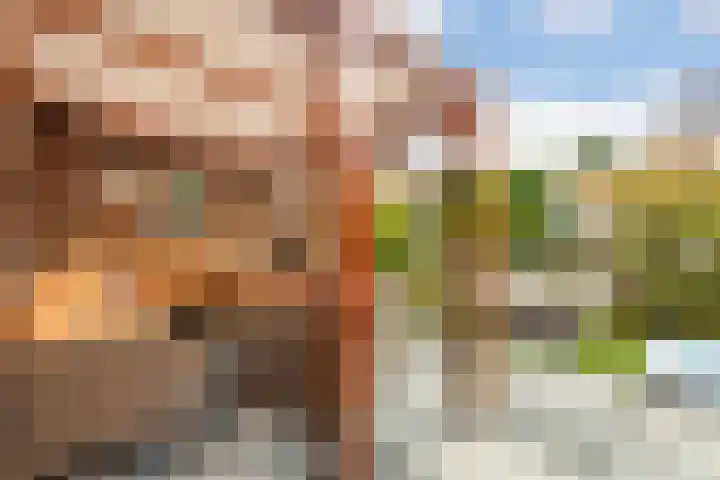 Mattenbieslaan 14 Vleuten thumbnail 16