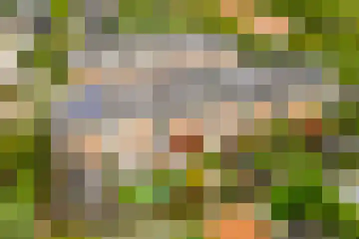 Mattenbieslaan 14 Vleuten foto 2