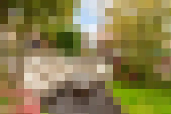 Mattenbieslaan 14 Vleuten thumbnail 20