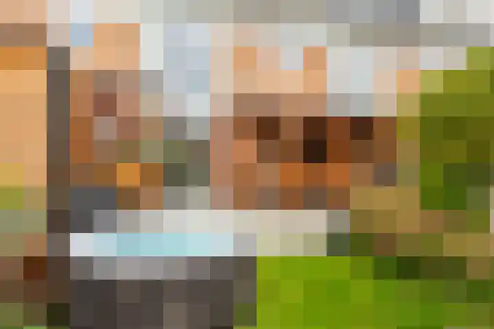 Mattenbieslaan 14 Vleuten thumbnail 22