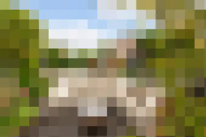 Mattenbieslaan 14 Vleuten thumbnail 23
