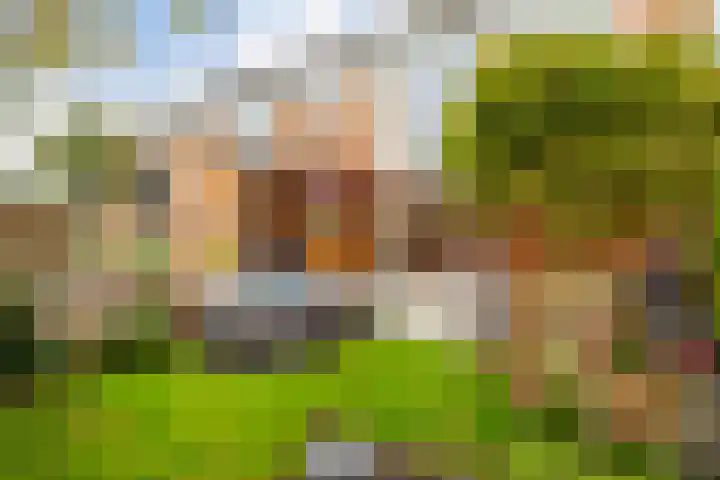 Mattenbieslaan 14 Vleuten thumbnail 24