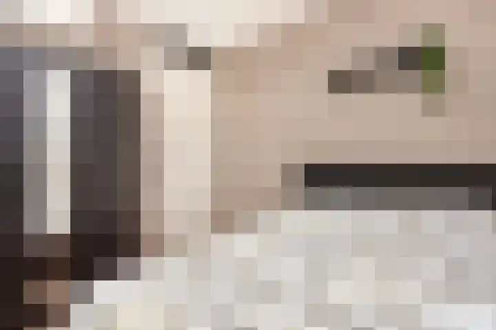 Mattenbieslaan 14 Vleuten thumbnail 32