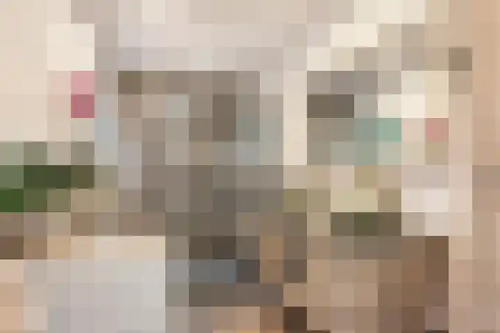 Mattenbieslaan 14 Vleuten thumbnail 33