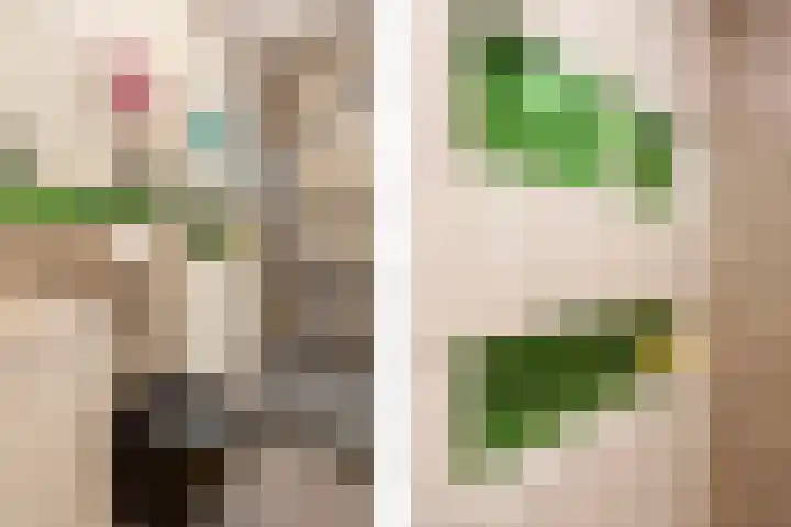 Mattenbieslaan 14 Vleuten thumbnail 36