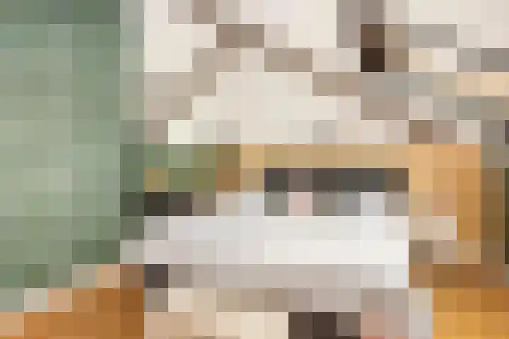 Mattenbieslaan 14 Vleuten thumbnail 42