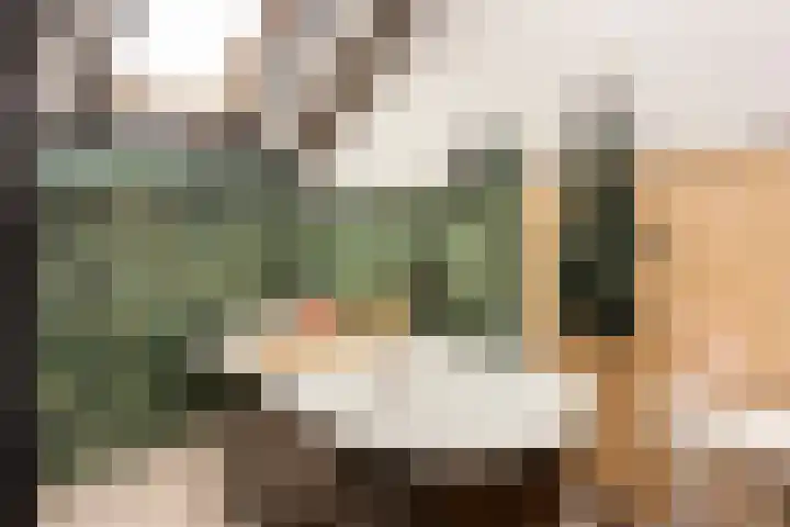 Mattenbieslaan 14 Vleuten thumbnail 45