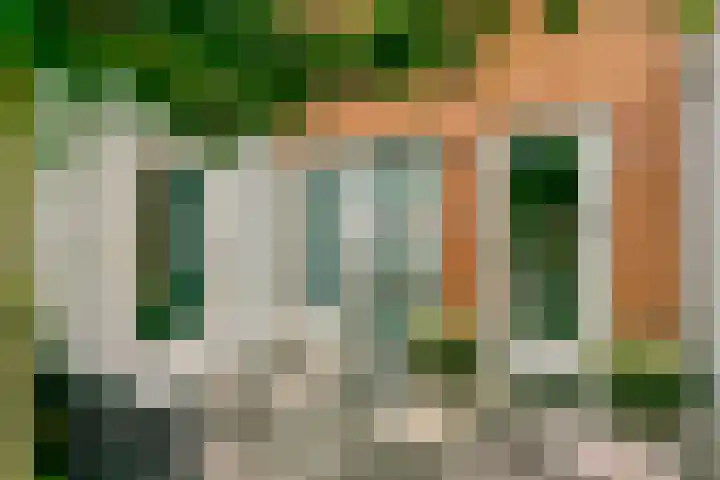 Mattenbieslaan 14 Vleuten thumbnail 49