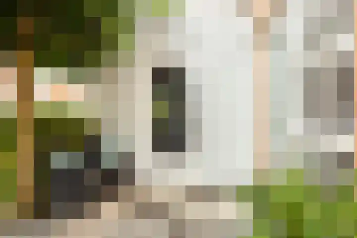 Mattenbieslaan 14 Vleuten thumbnail 50