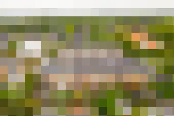 Mattenbieslaan 14 Vleuten thumbnail 51
