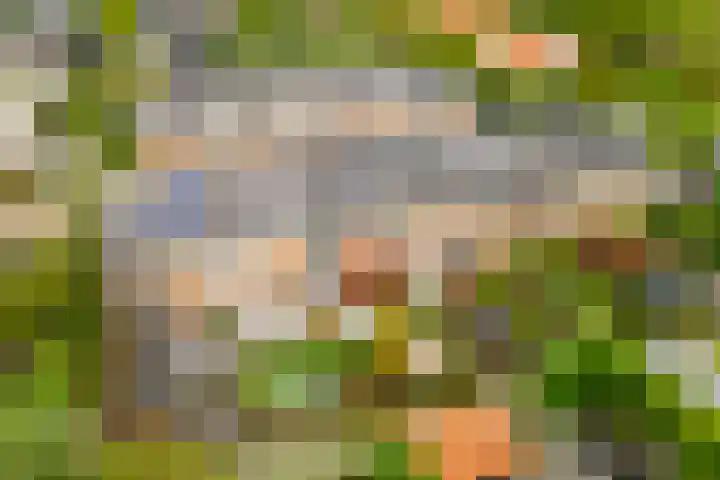 Mattenbieslaan 14 Vleuten thumbnail 52