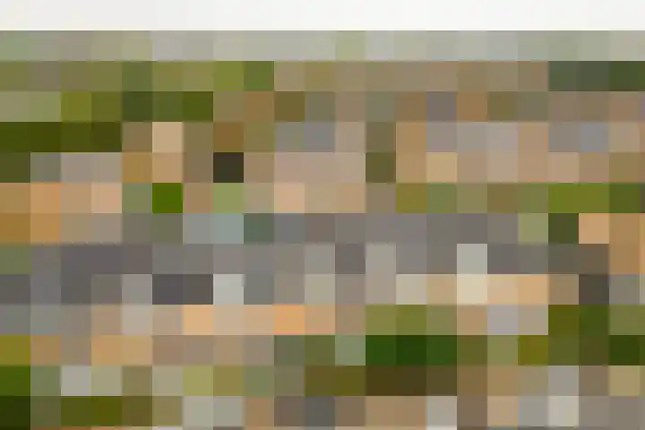 Mattenbieslaan 14 Vleuten thumbnail 54