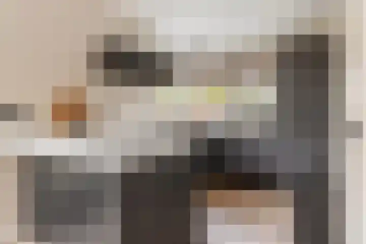 Mattenbieslaan 4 Vleuten thumbnail 10