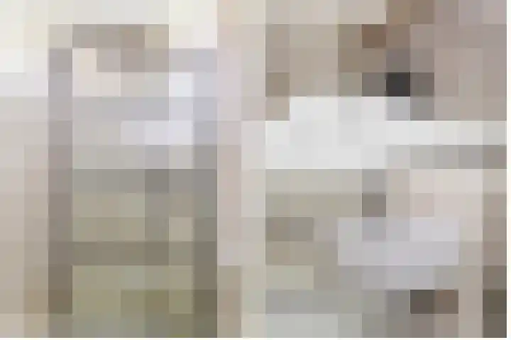 Mattenbieslaan 4 Vleuten thumbnail 19