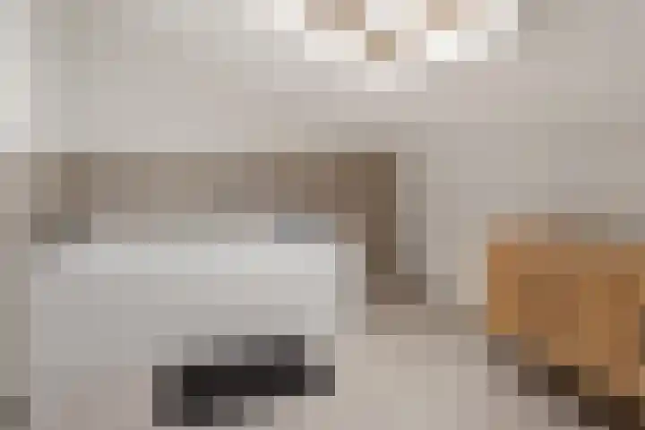 Mattenbieslaan 4 Vleuten thumbnail 24