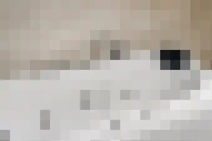 Mattenbieslaan 4 Vleuten thumbnail 25