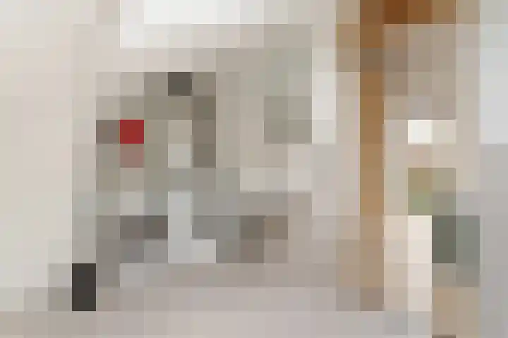 Mattenbieslaan 4 Vleuten thumbnail 26