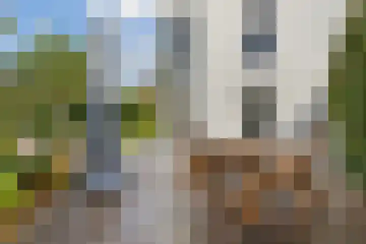 Mattenbieslaan 4 Vleuten thumbnail 27