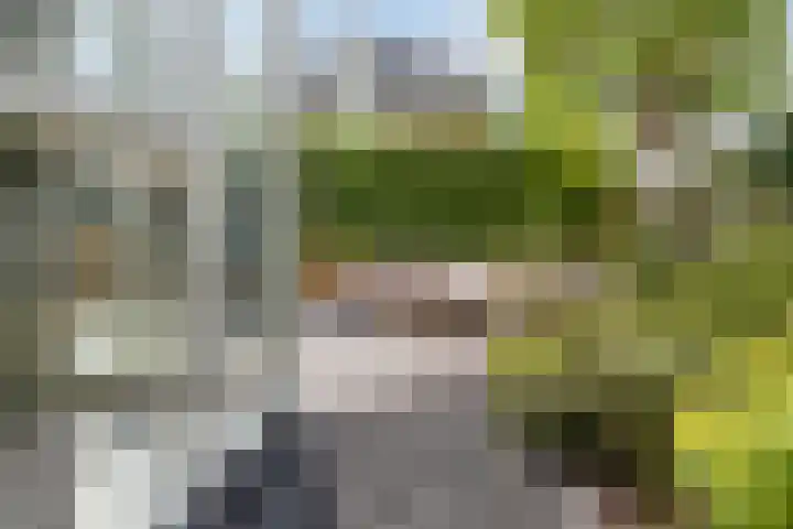 Mattenbieslaan 4 Vleuten thumbnail 28