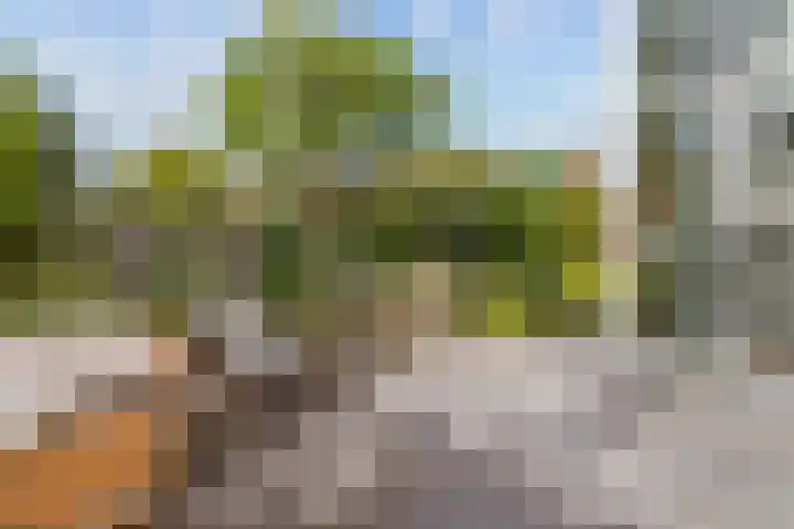 Mattenbieslaan 4 Vleuten thumbnail 29