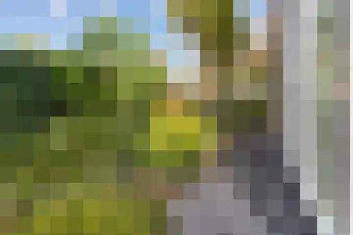 Mattenbieslaan 4 Vleuten thumbnail 30
