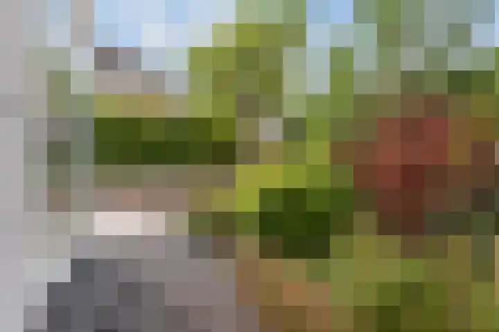 Mattenbieslaan 4 Vleuten thumbnail 31