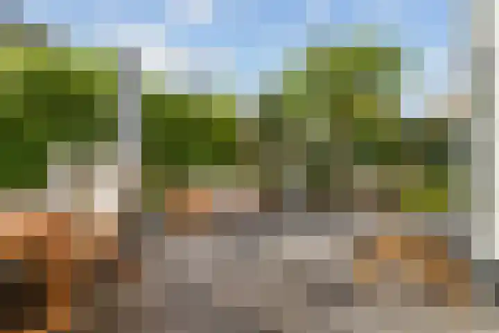 Mattenbieslaan 4 Vleuten thumbnail 32